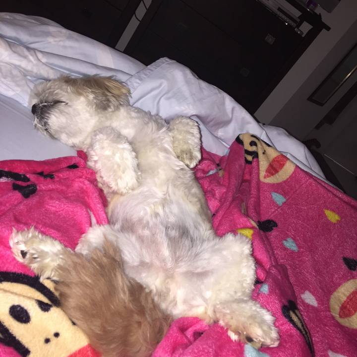 1435c616 1576 4dd2 8bb8 60ec6dc99026