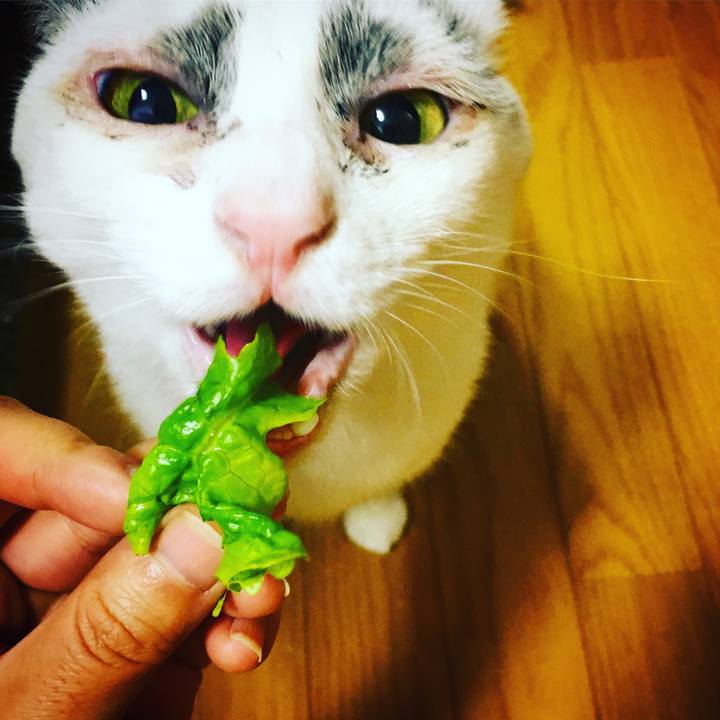 1435ef4a ce9d 4951 ac98 acb298894ee7