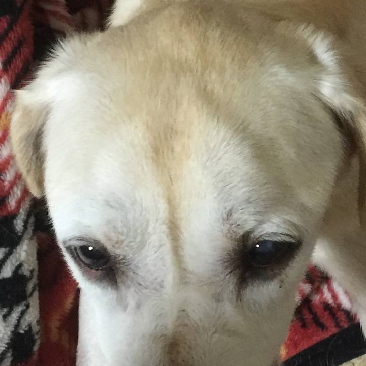 14364538 d7f6 49f5 8697 a003c95cce29