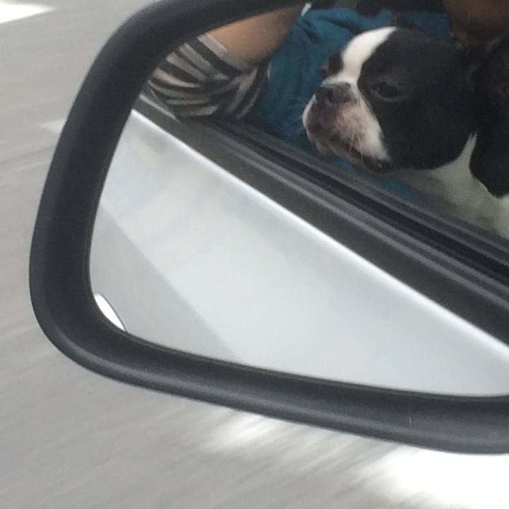 14364cd2 4914 4d1b 8bf6 cc3147774901