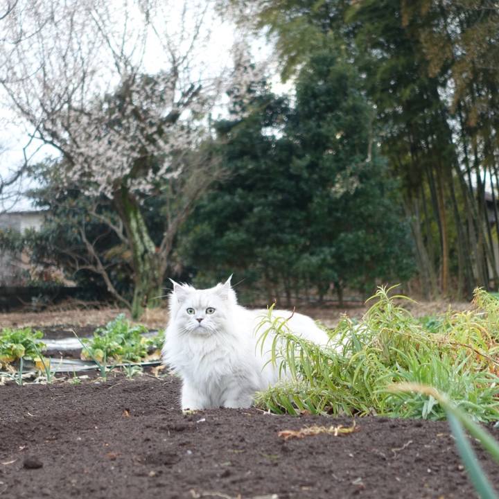 1437c2be b20a 437e 88d1 f3cec7093891