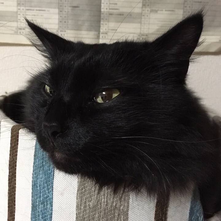 1437d53f efb0 450d 8af4 3c18b51d18be