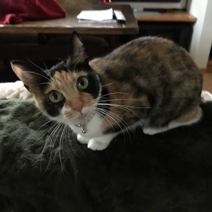 143900b5 3708 44b3 b29b 0dd8a0420c12