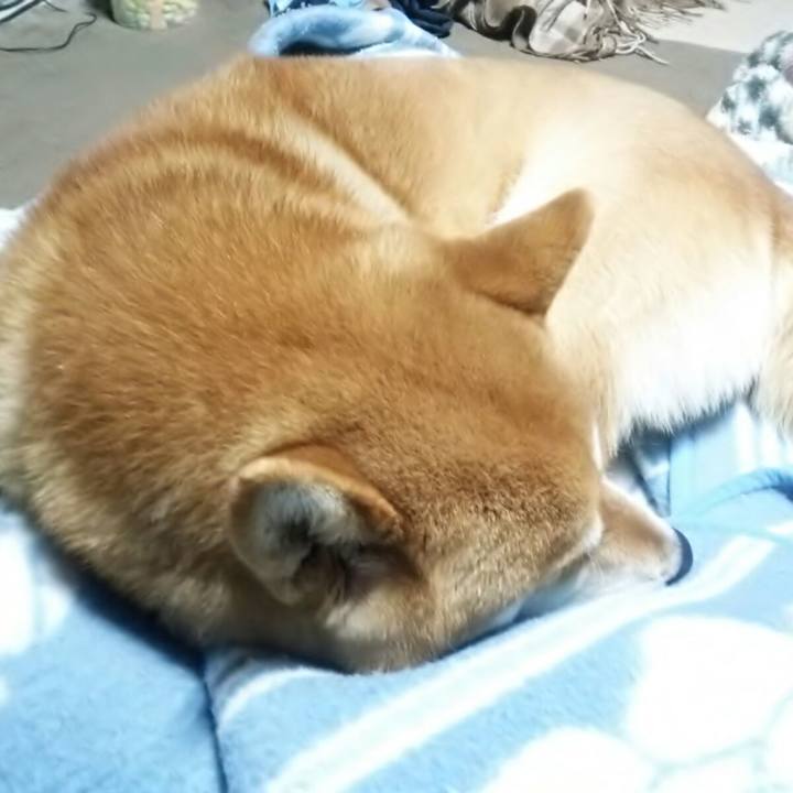 14390399 4039 4fd2 9d6f 3f5bc1298d2a