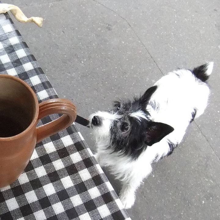 1439edc6 190a 4466 b30e 2b603c26e584