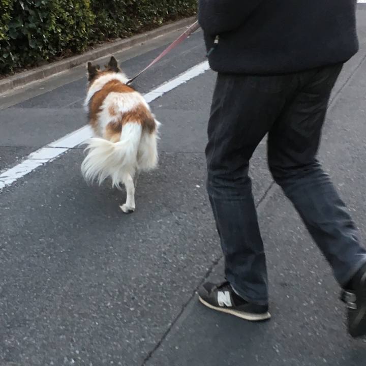 143a330f a32a 4276 abfe 46d74a863c40