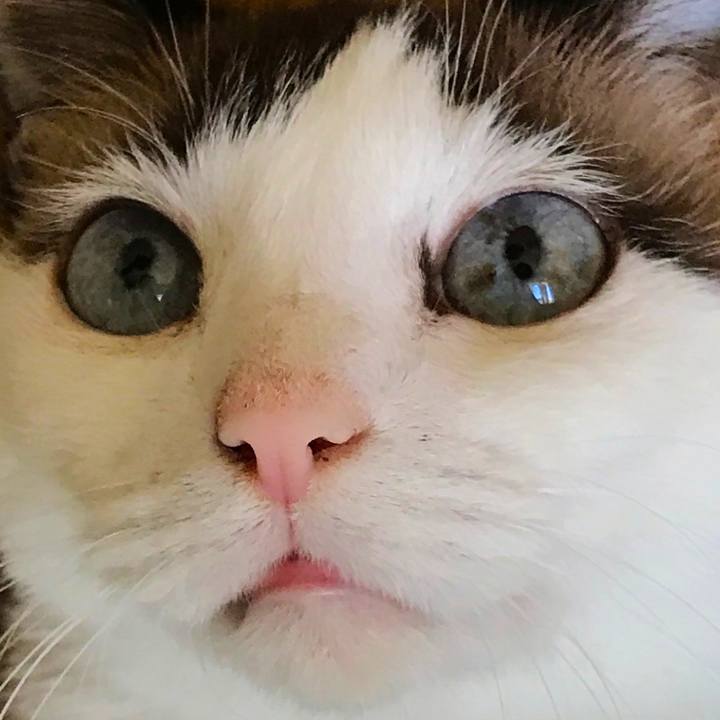 143aa7b9 cca3 4047 8d12 73eedefd867d