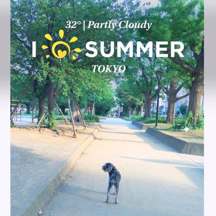 143b3c64 111c 4d5a b93c d079779b2ab1