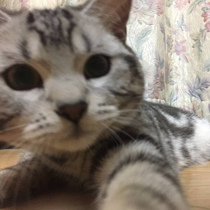 143b8c7b 4ae7 43ca ade2 3a2d6dbbe188