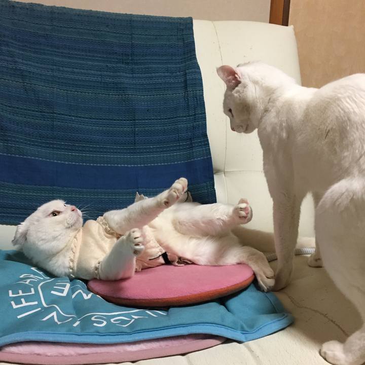 143c1c65 554b 47da baf8 b043edec94f1