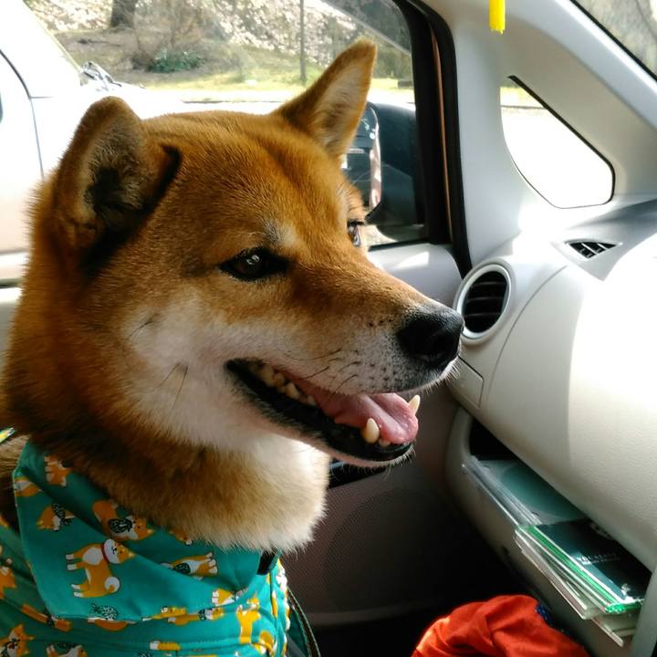 143c57dc d4e4 4429 9cd5 5dbbdc18ec77