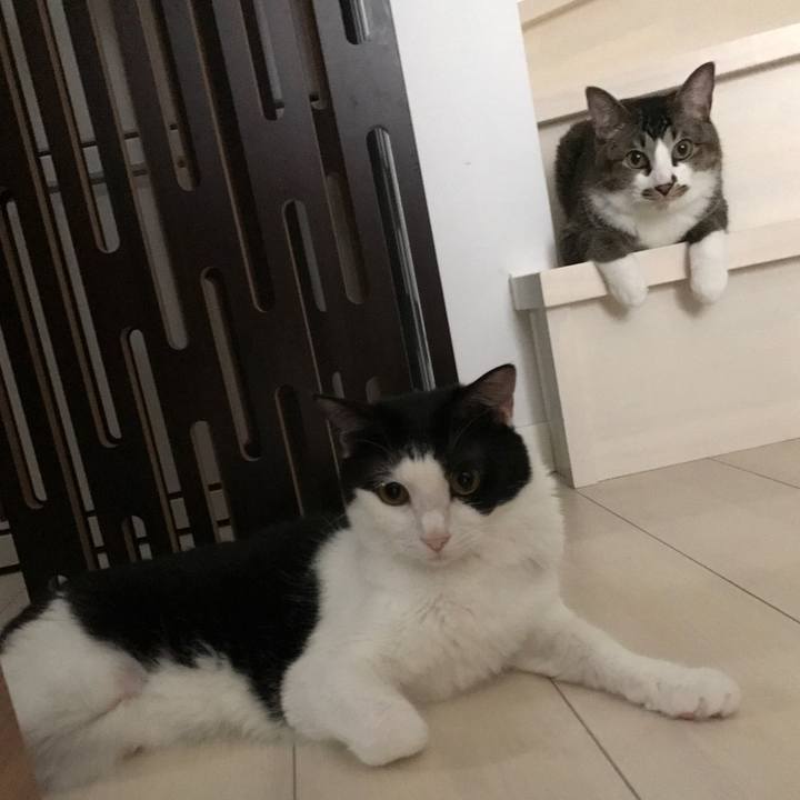 143c7161 6231 434b 9256 007945269a46