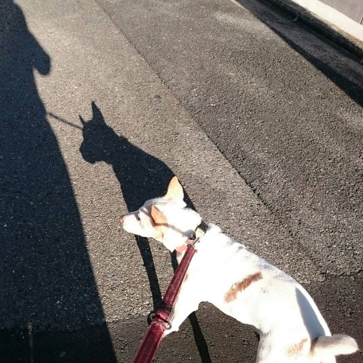 143e3b91 ffe8 4da9 aa3c be3f24df0cba