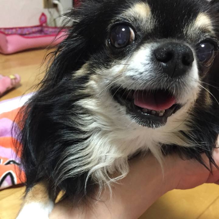 143eadde 95a0 41ff a591 0bc06476dc13