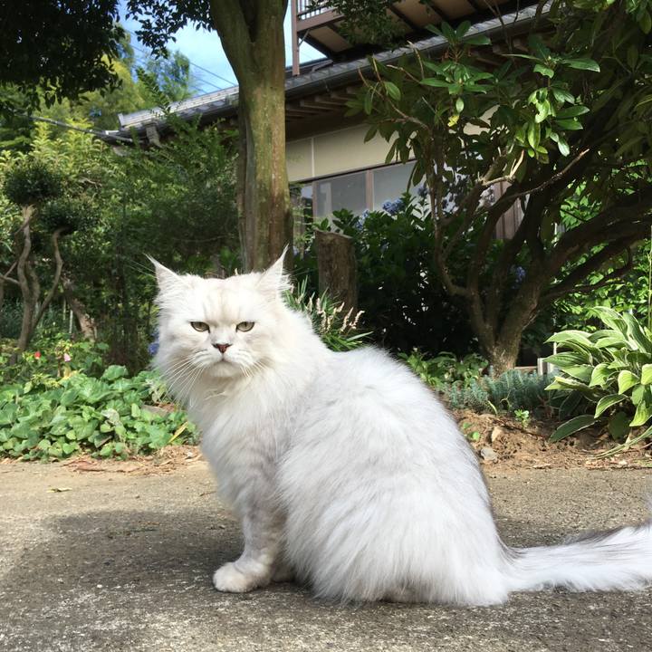 143ede9c a70c 4c8d b739 2f3d7c1403d5