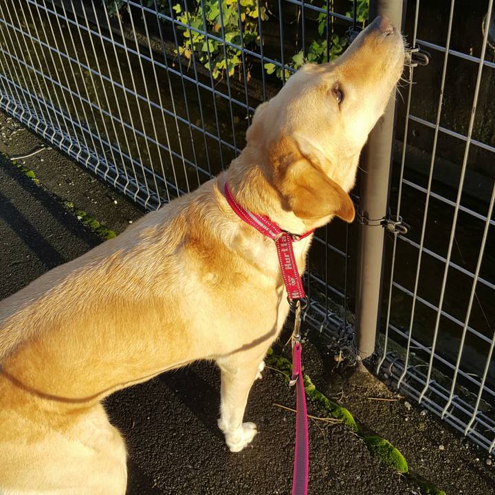 143f5563 0490 4fb6 b0d0 11b3efc05c3b