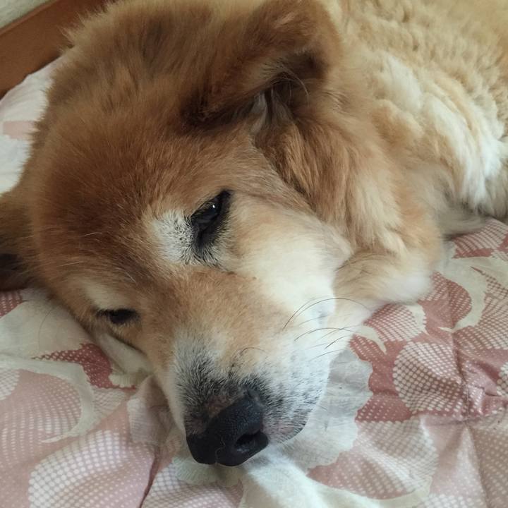 143f910a 12fd 47cd 8aa7 54c592adabcf