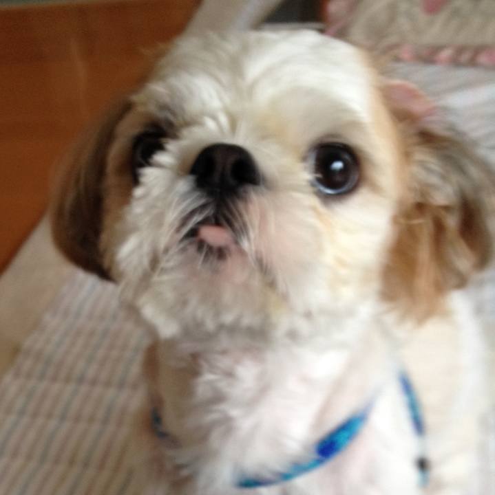 143f9b78 6c3a 47c4 88c6 b5053dad222f