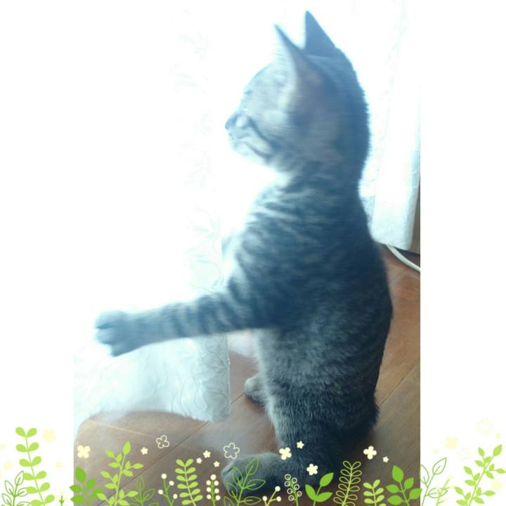 143ffd39 1c1e 4996 b4ab a95cf369fa13