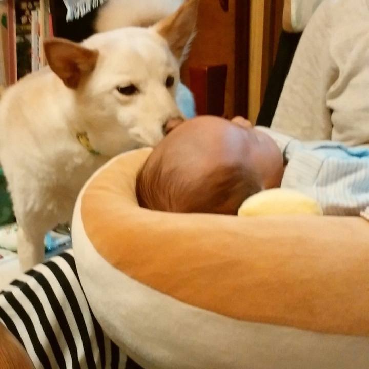 1440d055 5f02 4f31 ad90 6a1339afe54b