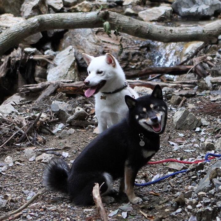 1441a511 cd12 424e 9e91 c806ff79815a