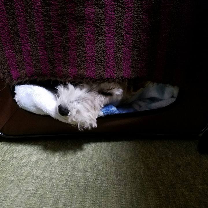 14420e6b a8ff 482c 9a68 226f69faff84