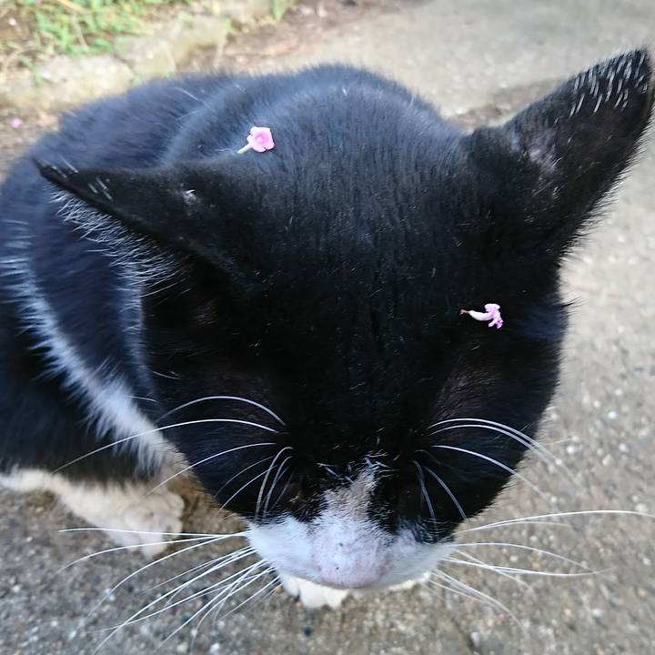 14432522 99eb 47c7 b87c dfb45ba78a0a