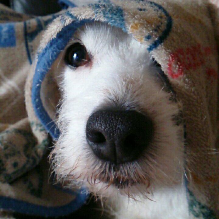 14435577 82a1 4281 9bad 6218e1123734