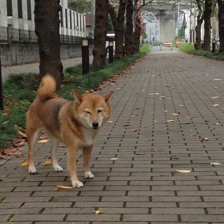 1443ba7b 24f4 48bc b386 2ea5127ae59b