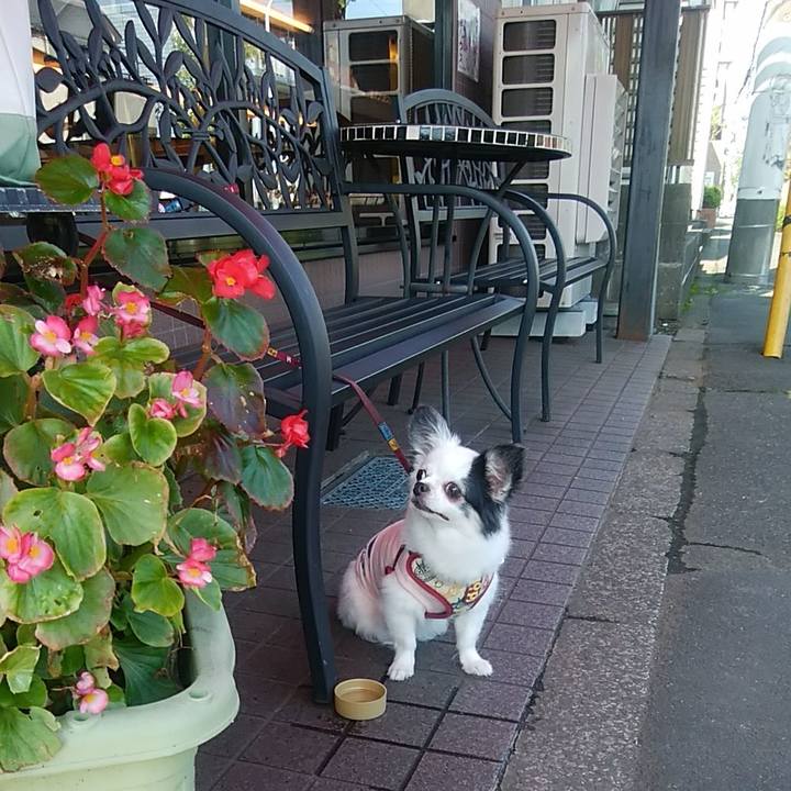 1443ca02 12ed 4f14 ba24 eedc6d0673cc