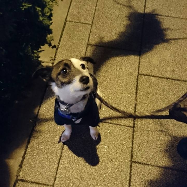 14442c57 6785 4d9a 9c44 ef736b5cc516