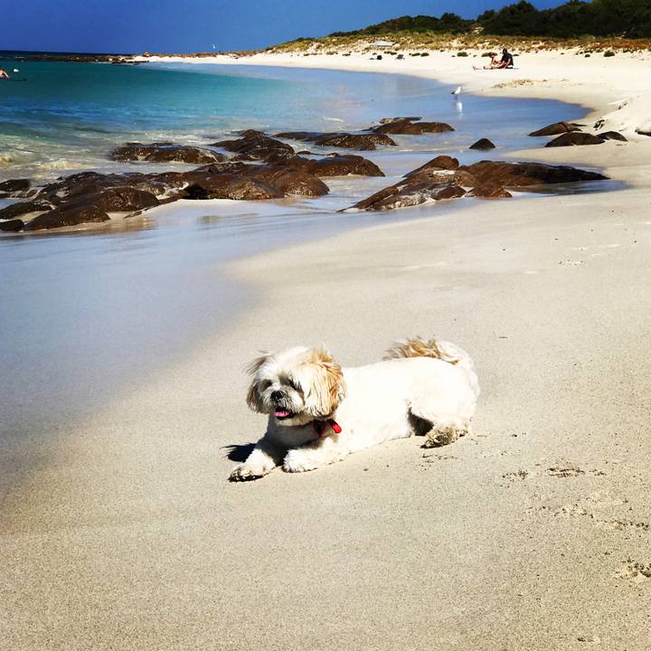 14445a69 26ca 42c9 8a8b 806ae1b88f5e