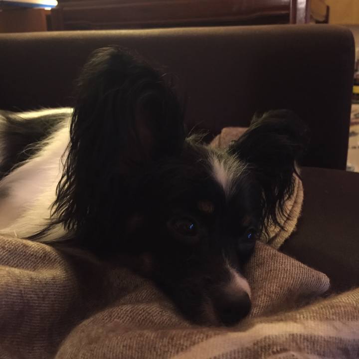 14447ac6 f32f 47dc 9024 b6adcf85d7e9