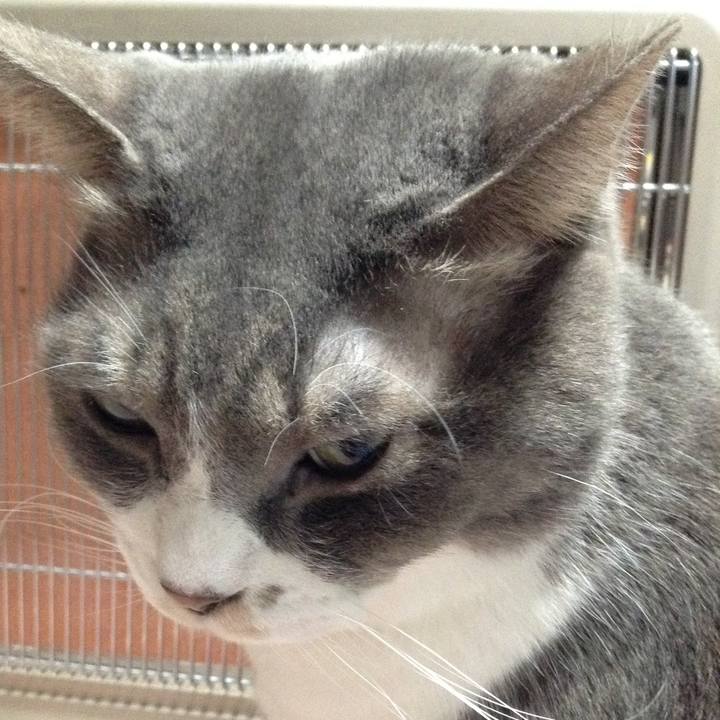 14447b49 89ce 416c a1d7 1228e61f485d