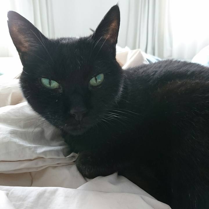 1444f0ea e959 41d8 9f49 a9fa05d5c285