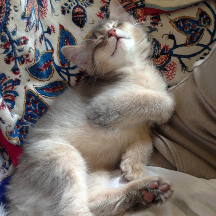 1445ebfa 0171 46e1 8b4b ece7ef8aa3a2