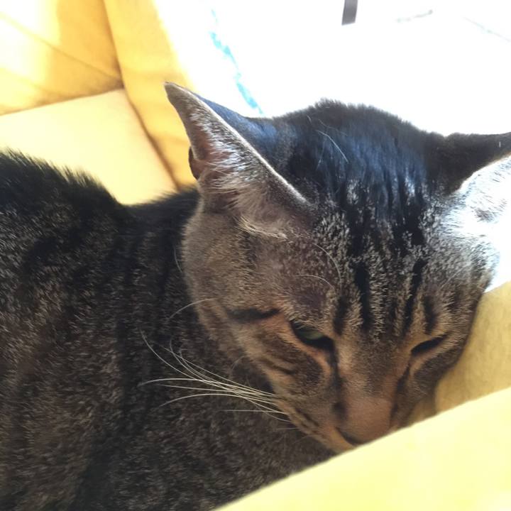 14460c45 d399 4c5d bf61 1d6f35d2cb60