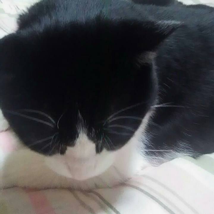 14465900 cbfe 4e05 b6e2 b96f3c5a8f25