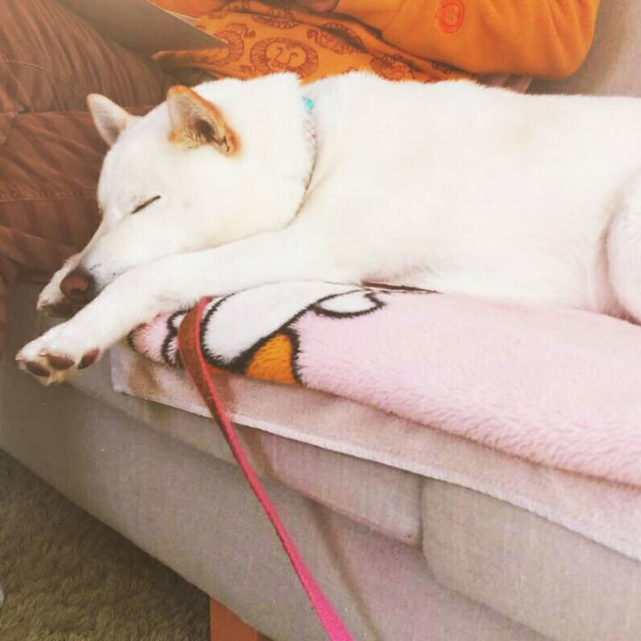 14468838 21fb 4e92 87e5 771f953d876b