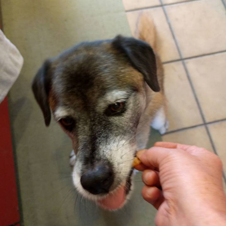 14475ed7 7ffc 4ae9 9927 923a8c057008