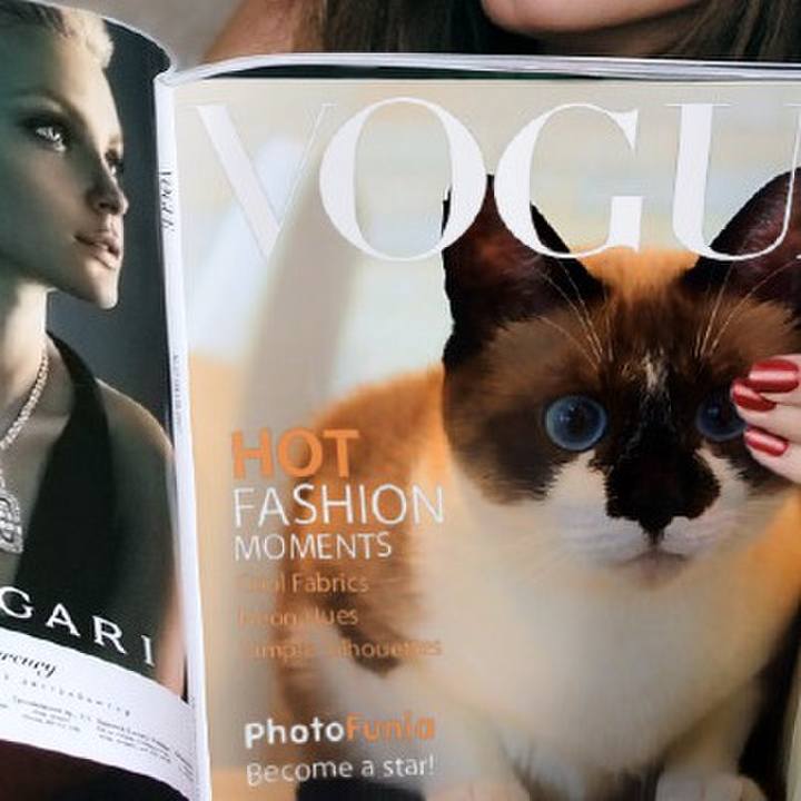 14476736 b073 47e2 a86f d3e85c32d4e9