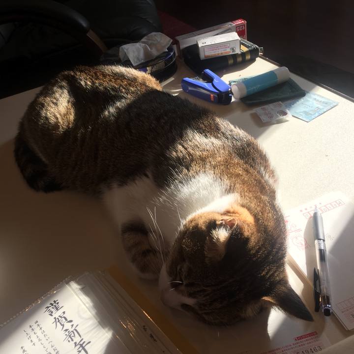 144778f5 5ee4 4091 9556 f9531df2d8ca