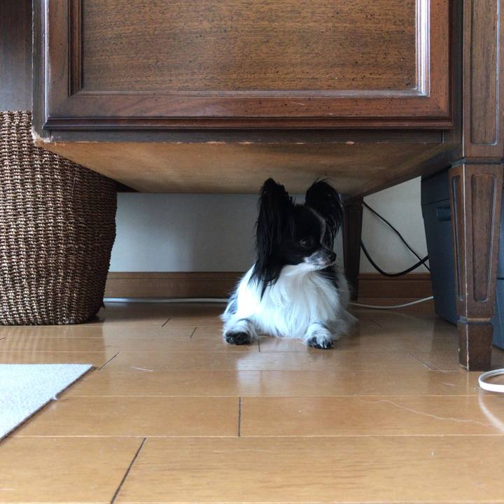 1447ba2f cff3 4986 be70 f33f1d0ba36b