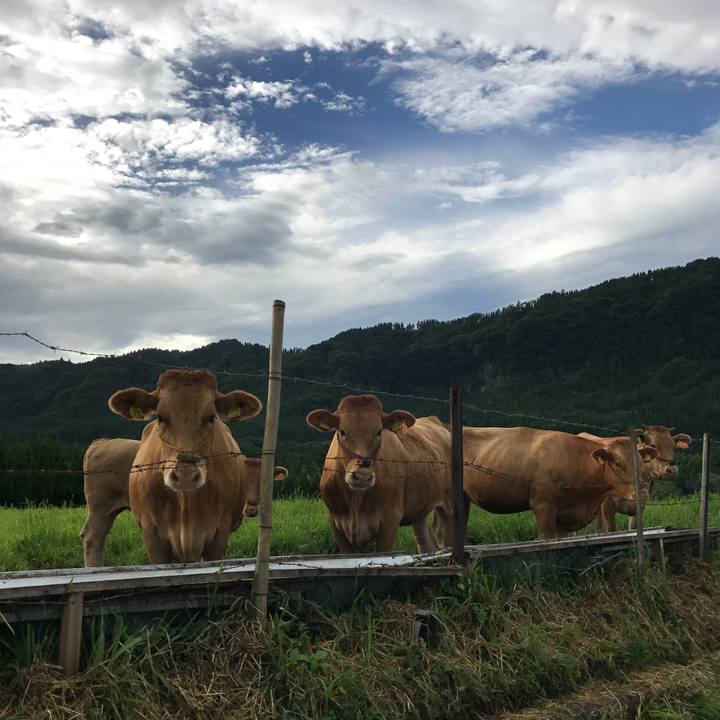 1447f875 a1b4 40d4 9b41 05616ffa392b