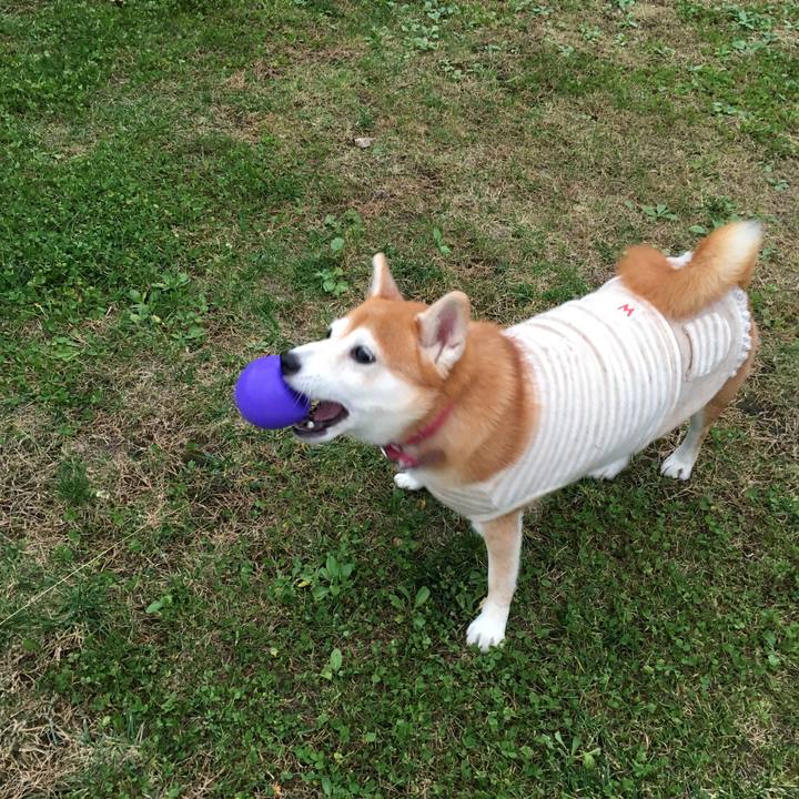 14480f3f b7cc 4be6 b447 a4c181623103