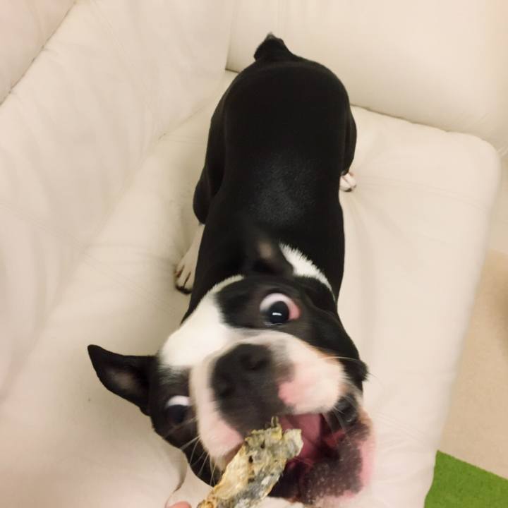 14481107 6d61 4a1e b059 486cd138ac4e