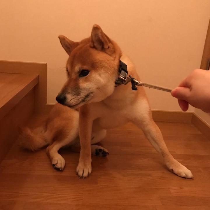 1448d3c5 6eff 4f35 a1de 8e62796d1018