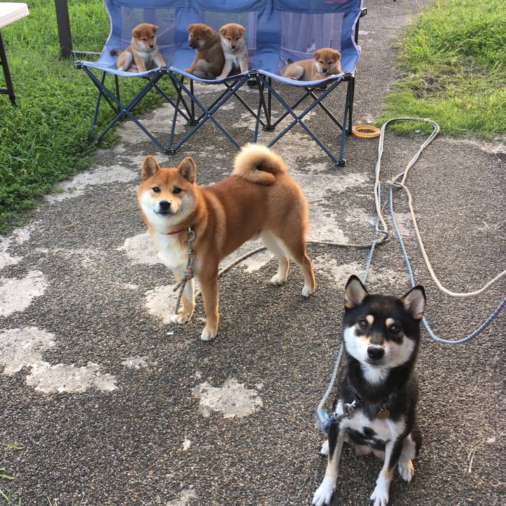 14495a07 0d80 4f26 ad32 3758974a1e85