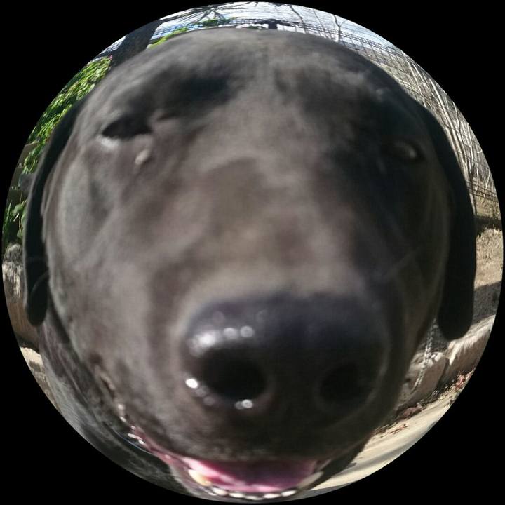 14498bda 8fe0 4ecc bccb cdfefae10552