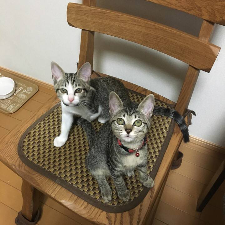 144998c8 2573 450e aefa d4ca6eb96855